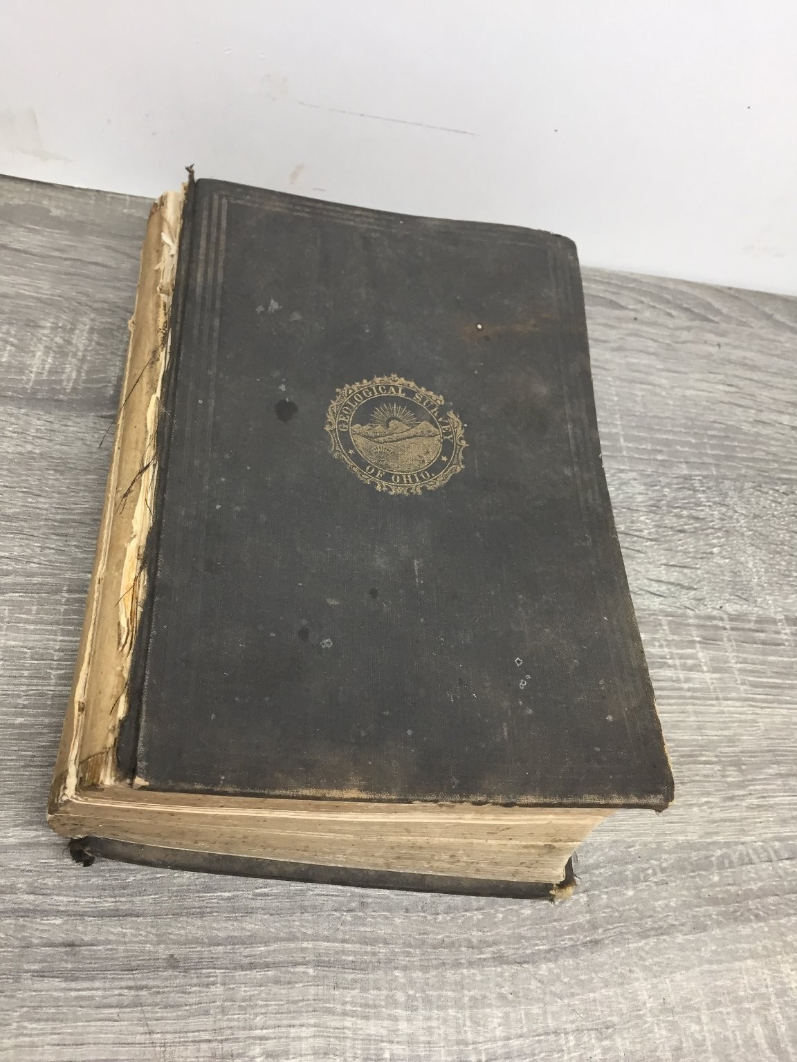 Geological Survey of Ohio Vol II Part I Geology Newberry 1874 Ohio State maps
