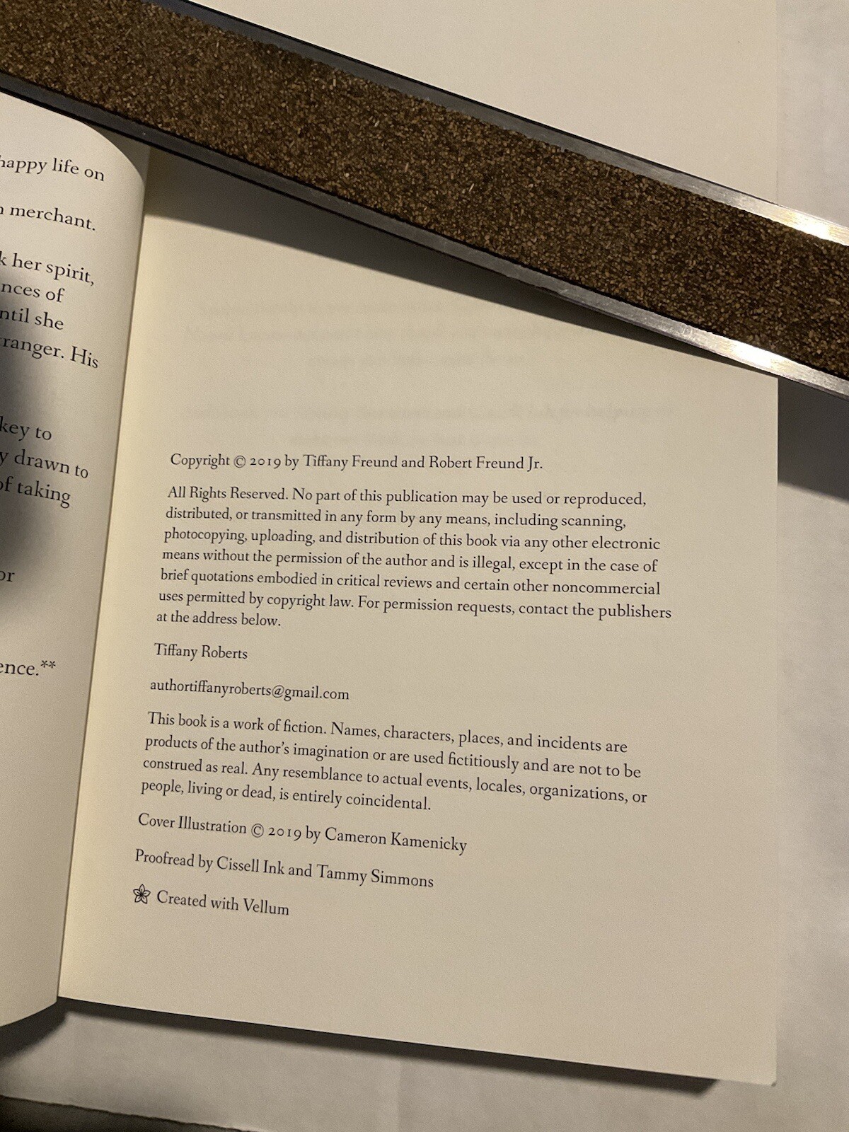 Silent Lucidity by Tiffany Roberts (2019, Trade Paperback)