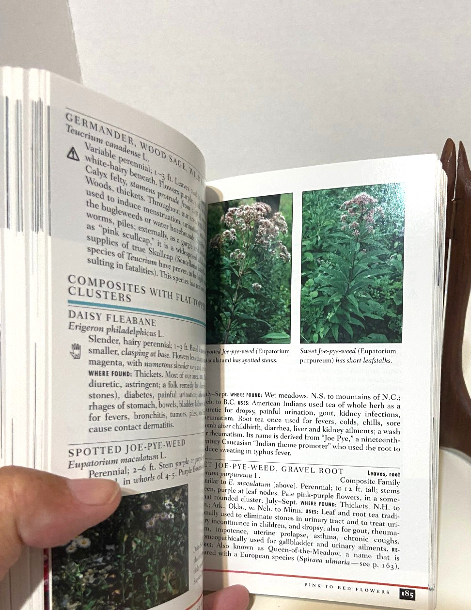 NEW Peterson Field Guide MEDICINAL PLANTS AND HERBS Eastern/Central
