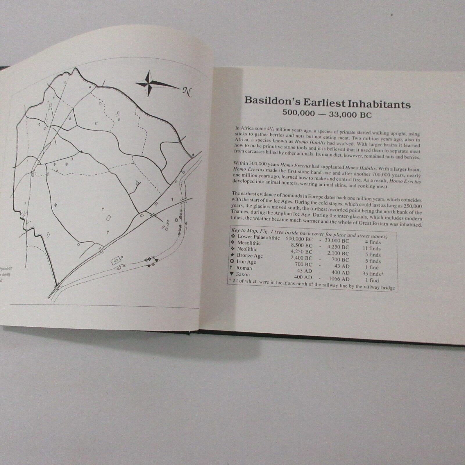 Basildon Berkshire Illustrated History Thames Side Parish Signed Williams Maps