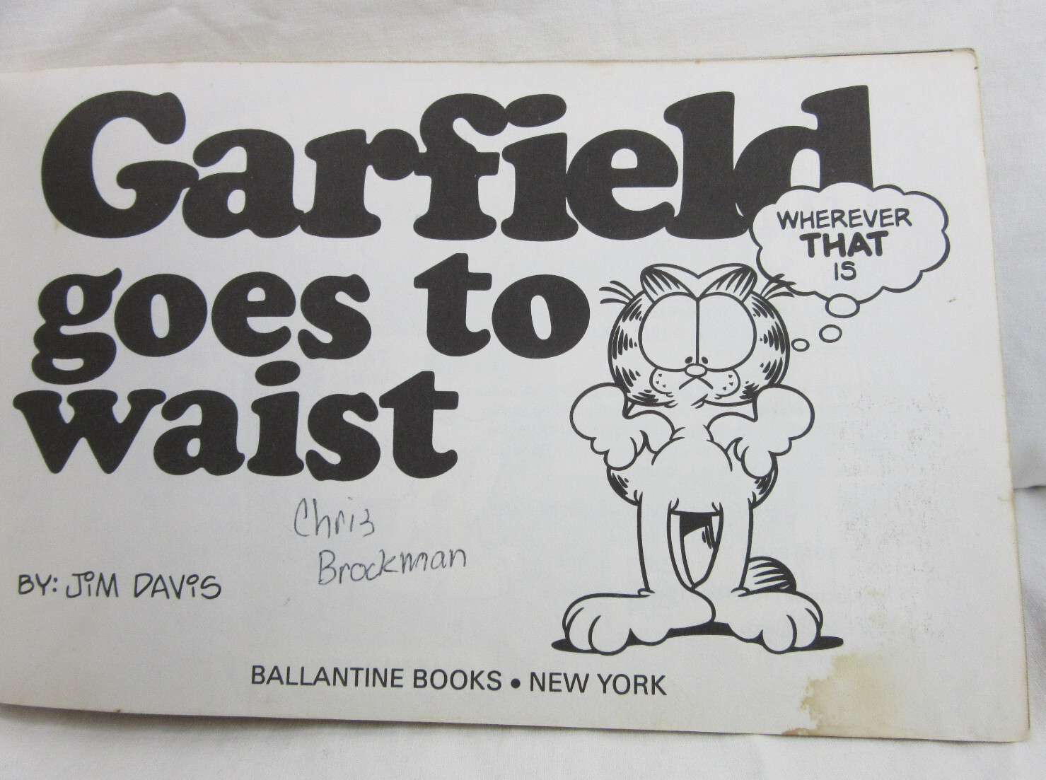 GARFIELD: GOES TO WAIST * His 18th Book * 1990 PB Book – Jim Davis