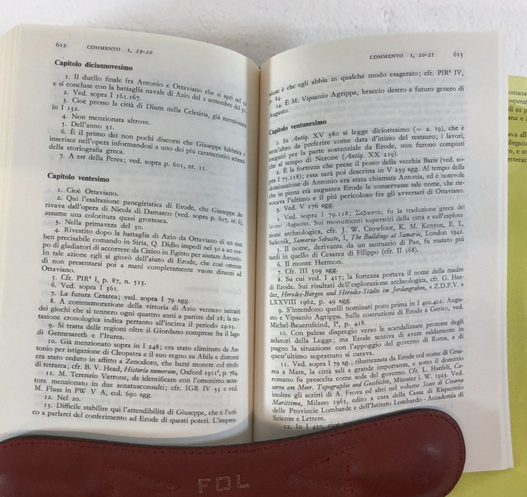La Gurra Guidaica, Two Volumes, Vitucci, 2005, E-119