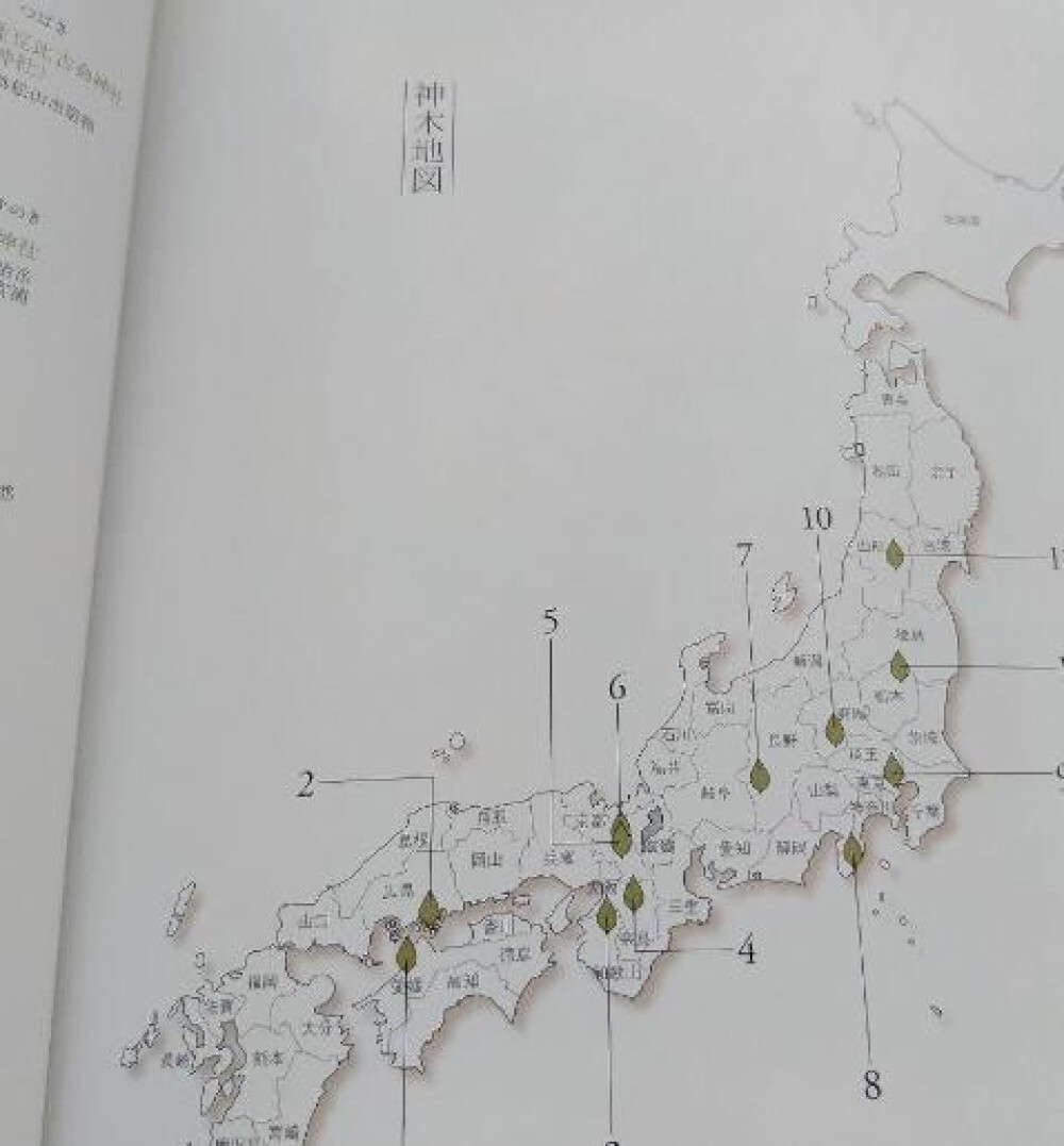 Toshiro Kawase – „God’s Tree: Go/Visit“ Japanese sacred tree art