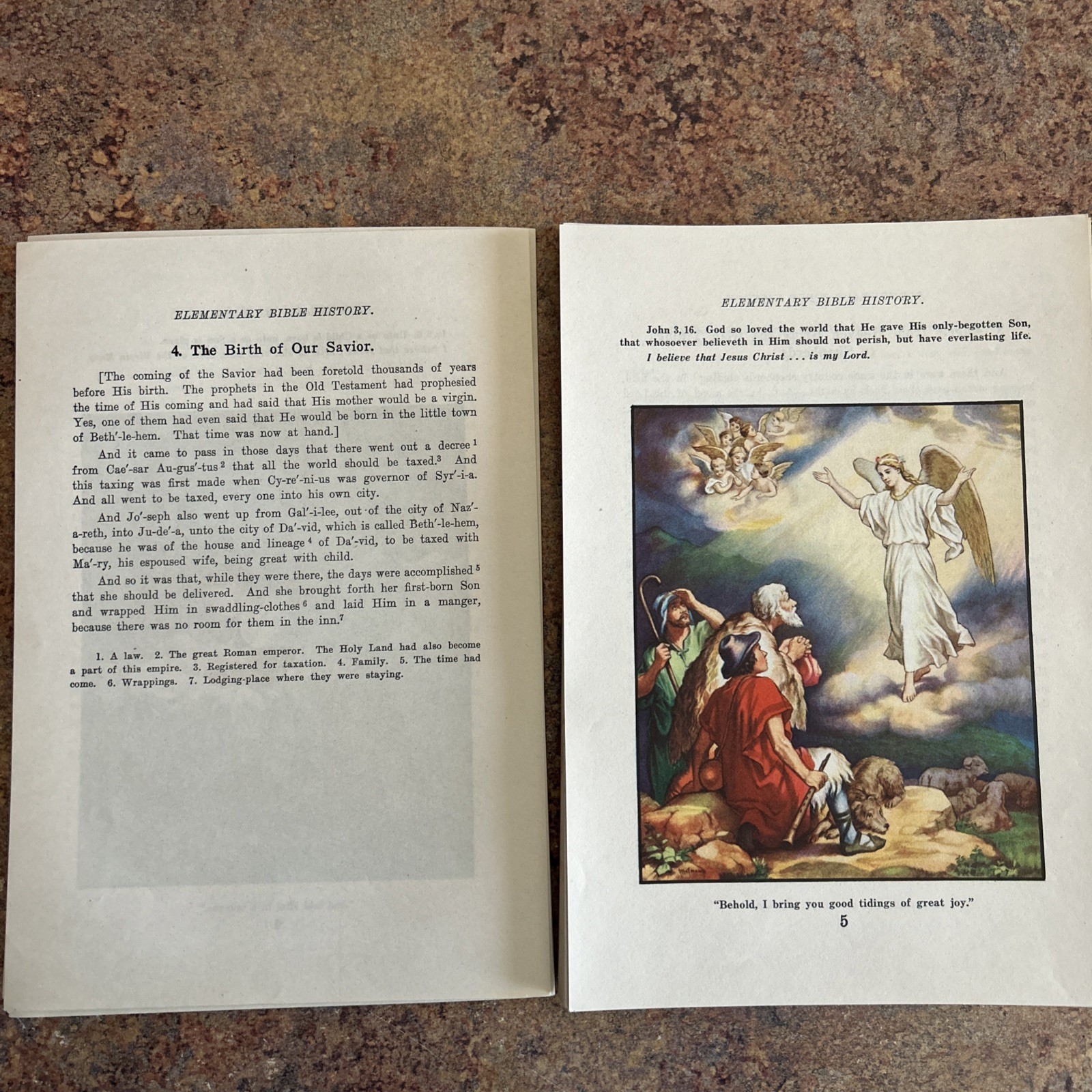 Elementary Bible History Words of Holy Scripture Loose Leaf Pages Illustrated