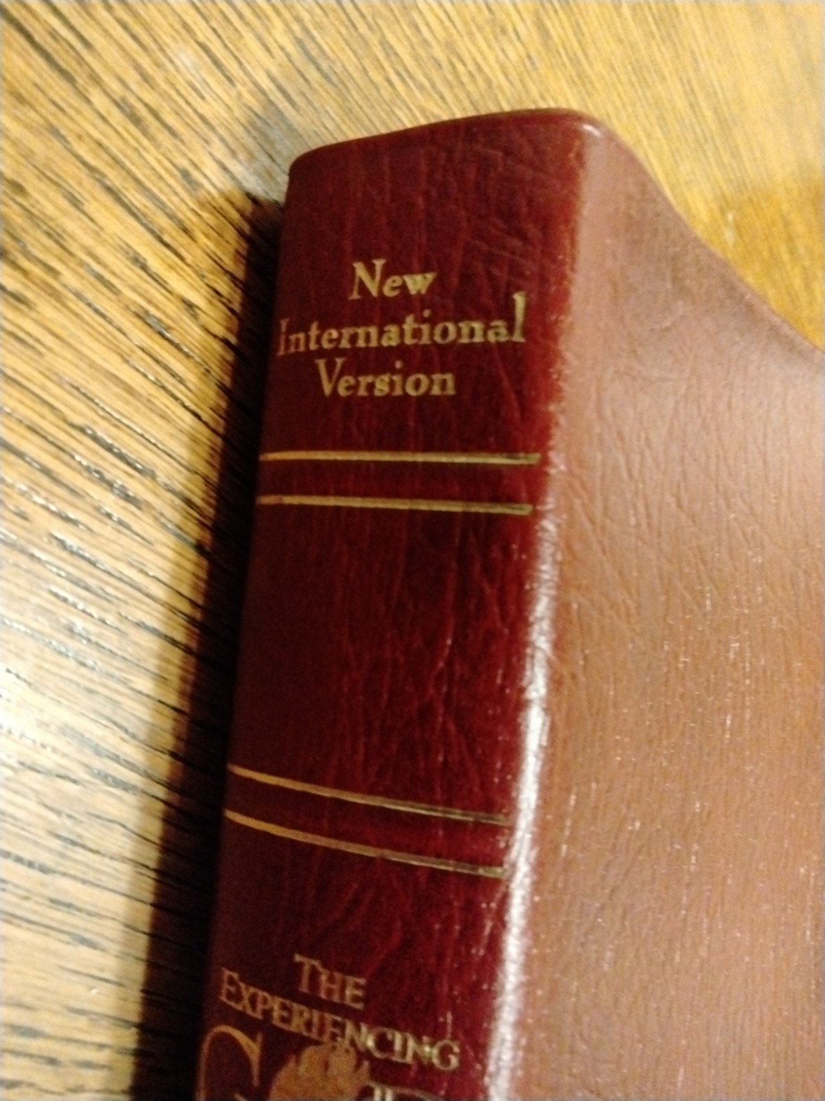 NIV Experiencing God Study Bible – Burgundy Genuine Leather – 1996