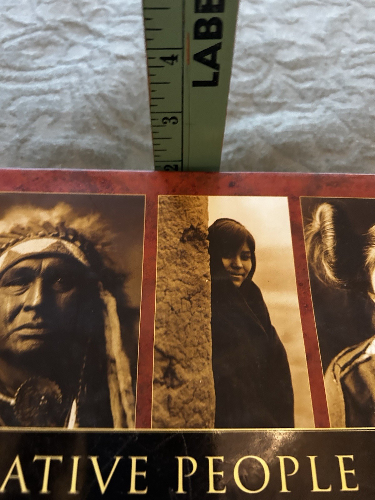 “Native Land Native People” From Edward S. Curtis Collection By Wayne Youngblood