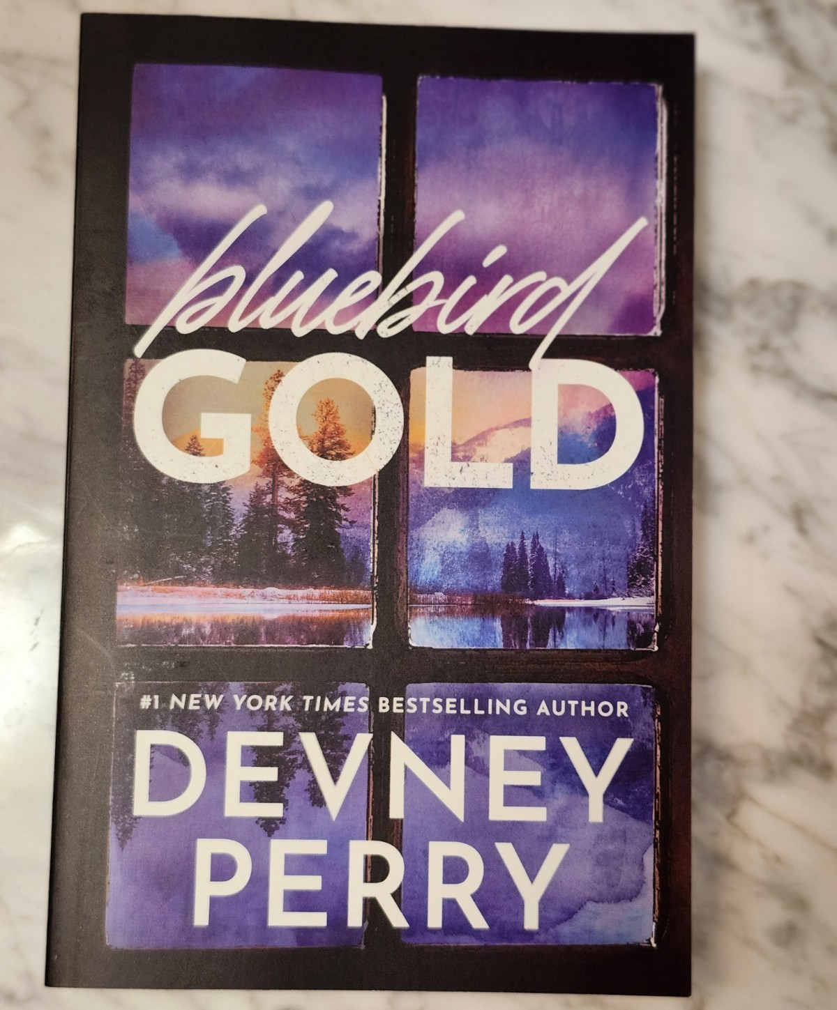 Bluebird Gold Devney Perry 2025 Trade Paperback Romance Fiction English 319p