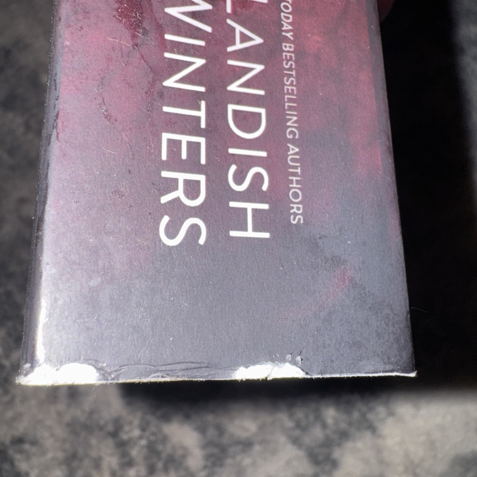 Highest Bidder Paperback Lauren Landish and Willow Winters English – Signed!