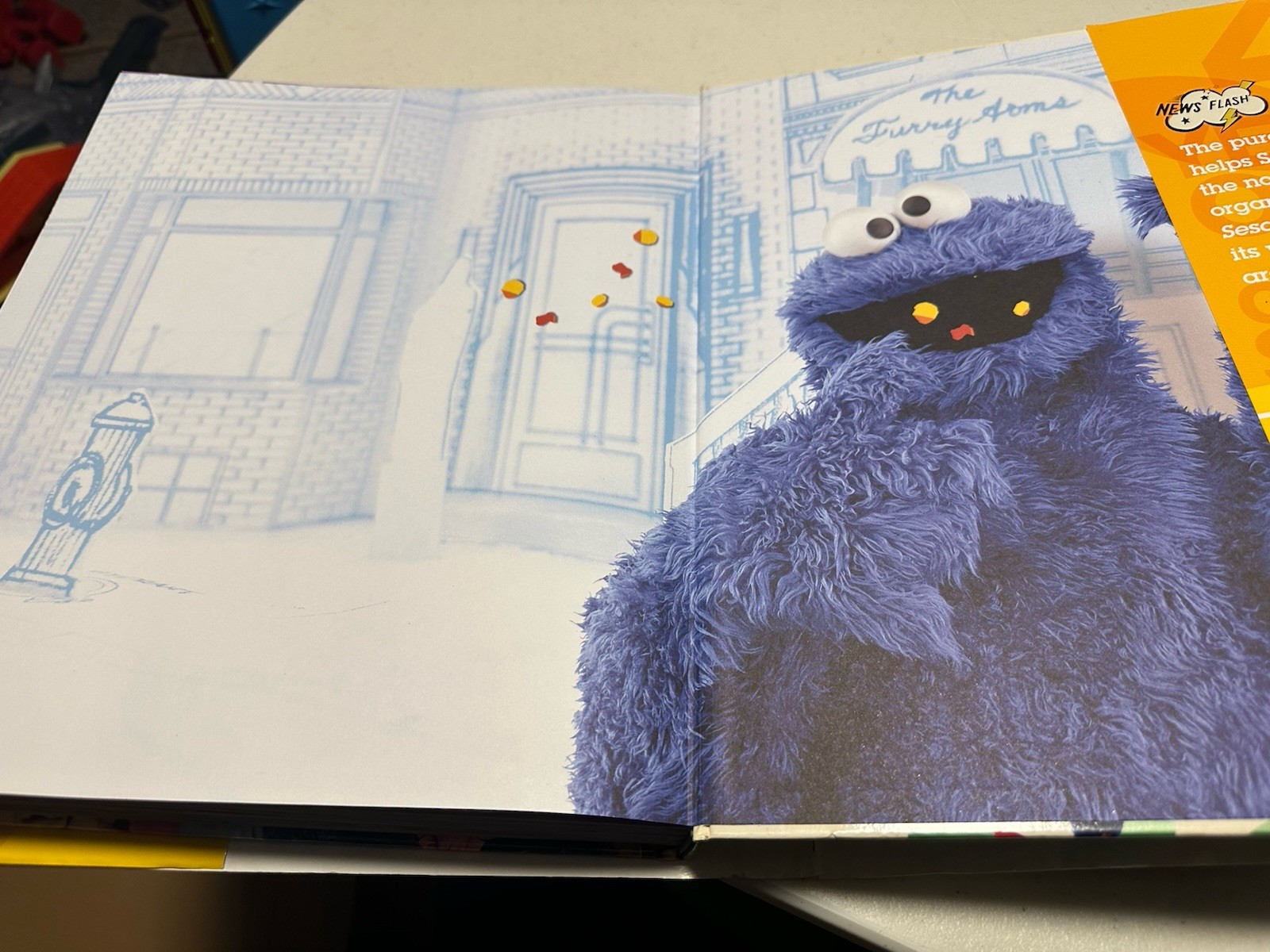 Sesame Street A Celebration of 40 Years of Life on the Street w DVD Gikow, Loui…