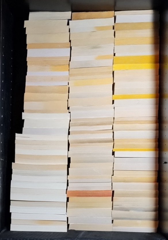 ROMANCE BUILD YOUR OWN LOT PAPERBACK BOOKS