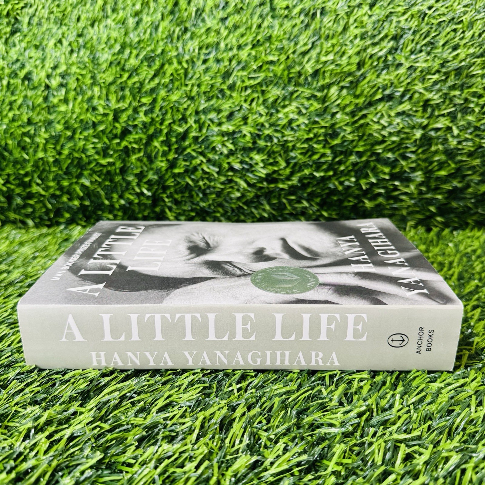 Little Life by Hanya Yanagihara (2016, Trade Paperback)