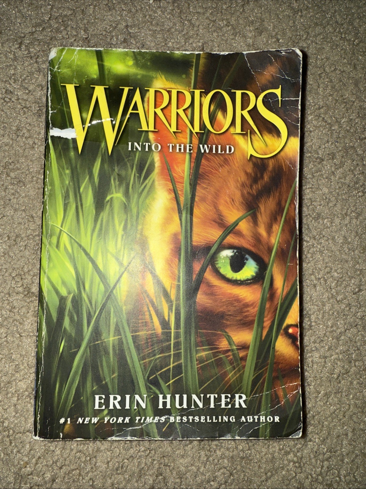Erin Hunter Warriors Books Lot of 5 Paperback 1-5