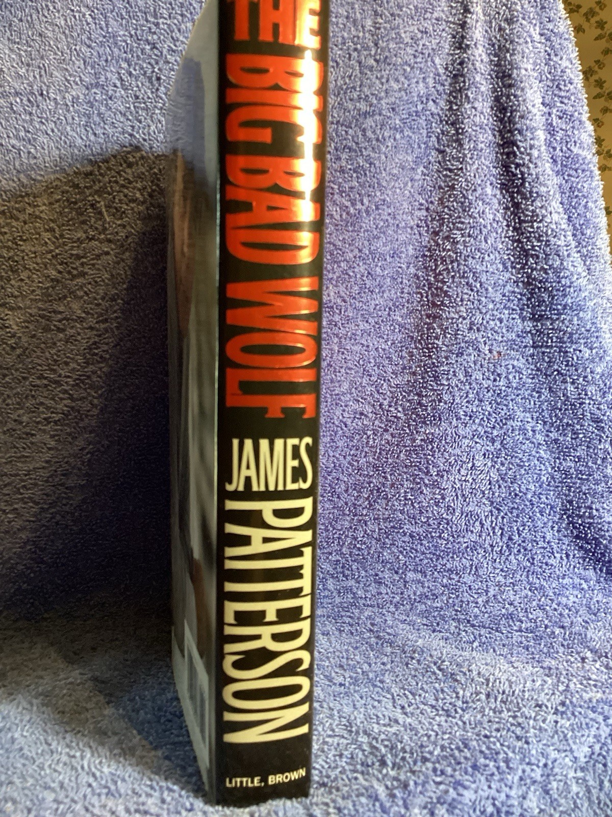 Novel “The Big Bad Wolf “ James Patterson 2003 390 Pages Little/Brown/& Co.
