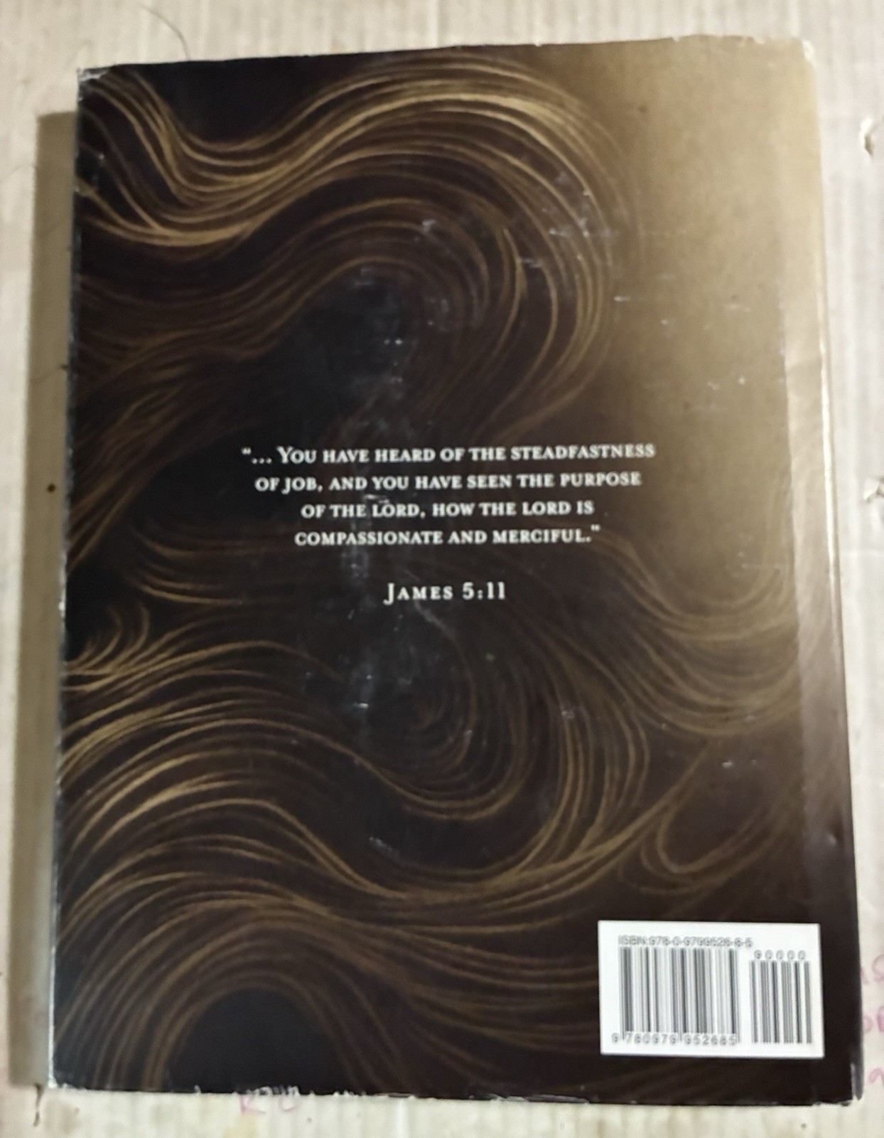 JOB (OLD TESTAMENT) By John Piper & Christopher Koelle Hardcover WITH CD Christ