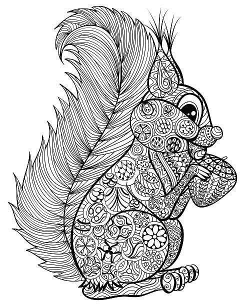 Squirrels Coloring Book for Adults and Teens 108 Pages 8.5 x 11 for All Ages