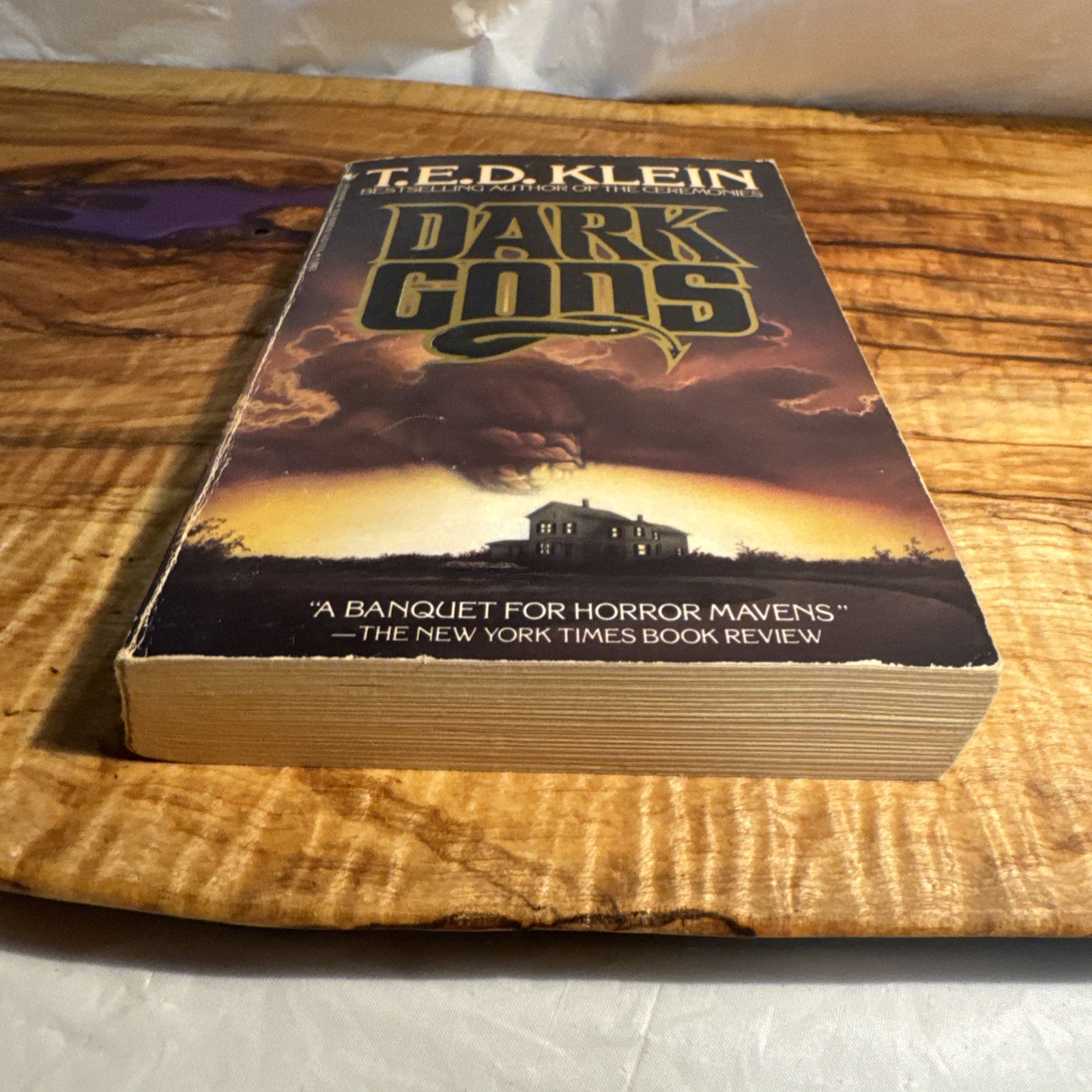 Dark Gods by T.E.D. Klein (1986 Bantam Edition) Vintage Horror Paperback Book