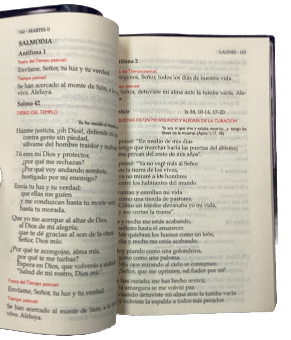 Liturgia De Las Horas Del Pueblo Letra Regular San Pablo. Liturgy Of The Hours