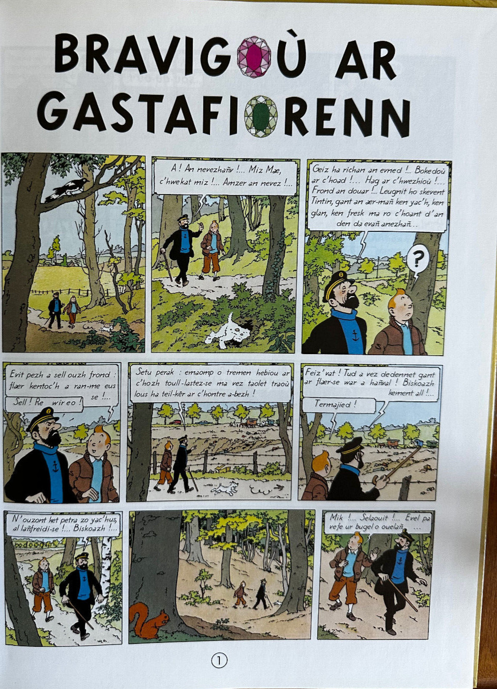 TINTIN Hergé Bravigou Ar Gastafiorenn