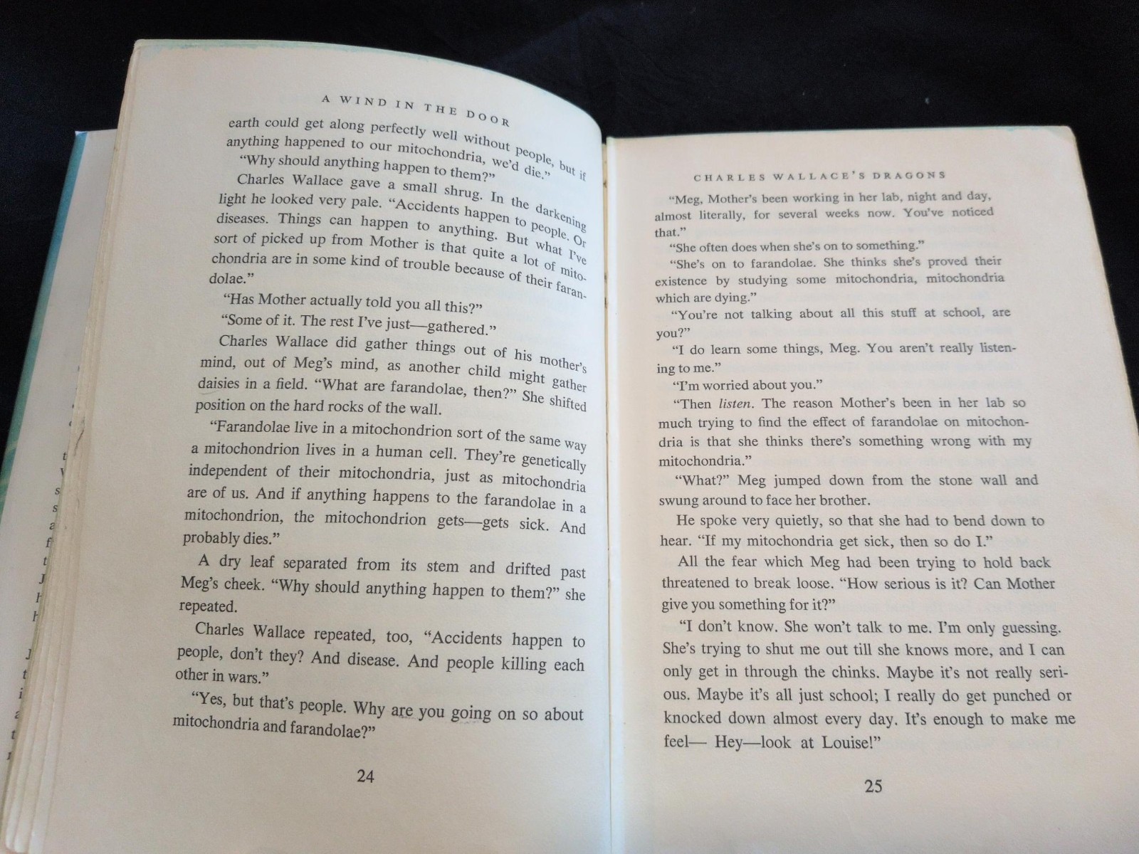 A Wind In The Door Madeleine L’engle First Edition First Printing