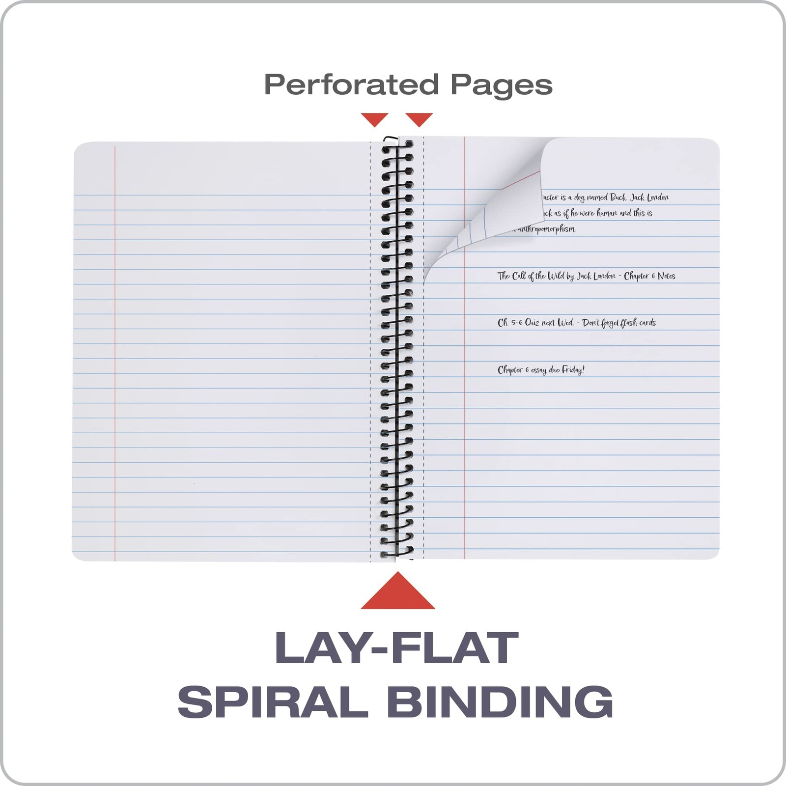 Spiral Composition Notebooks, 4 Pack, Wide Ruled , 9-3/4 x 7-1/2 Inches, 80 S…