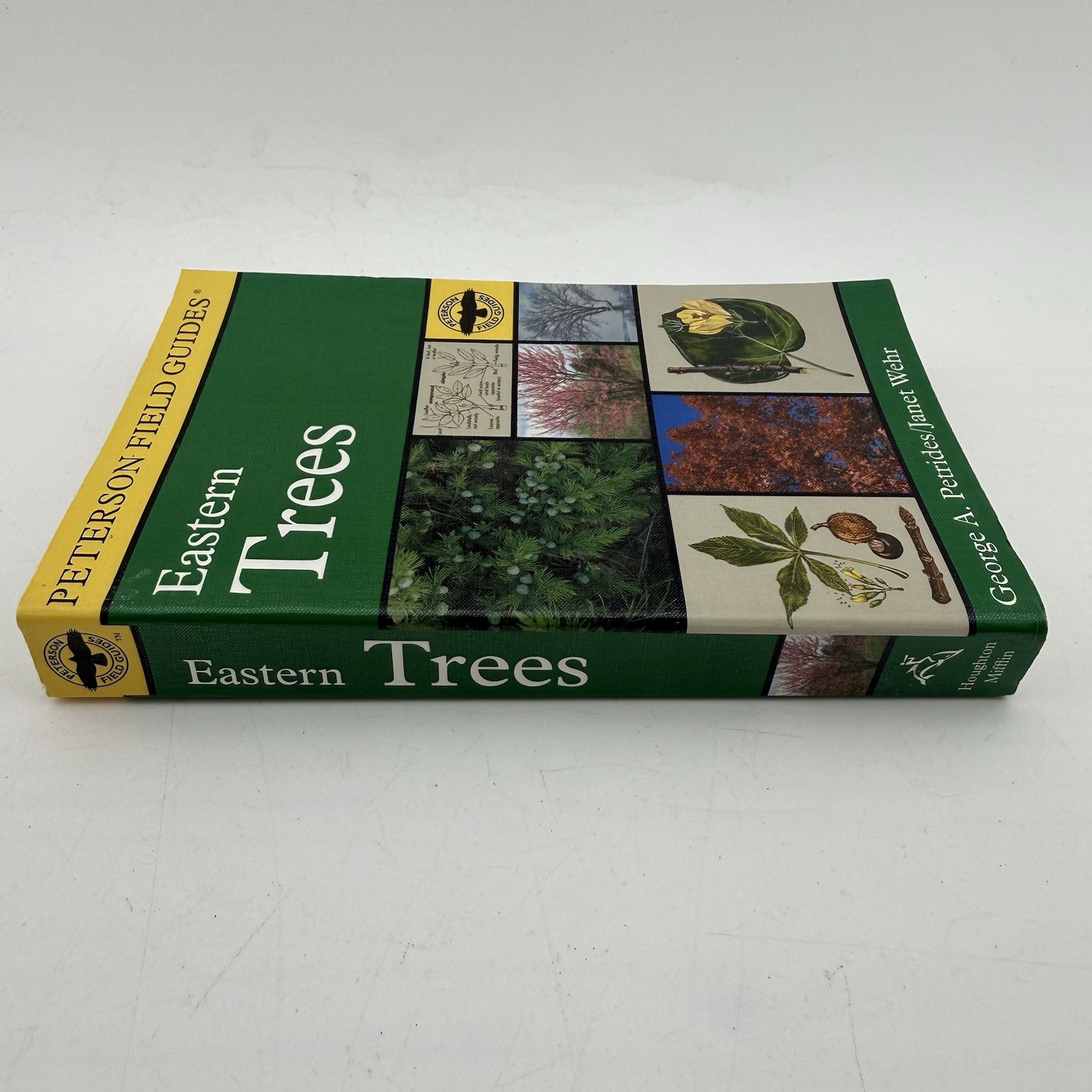 Peterson Field Guide to Eastern Trees George A. Petrides Janet Wehr