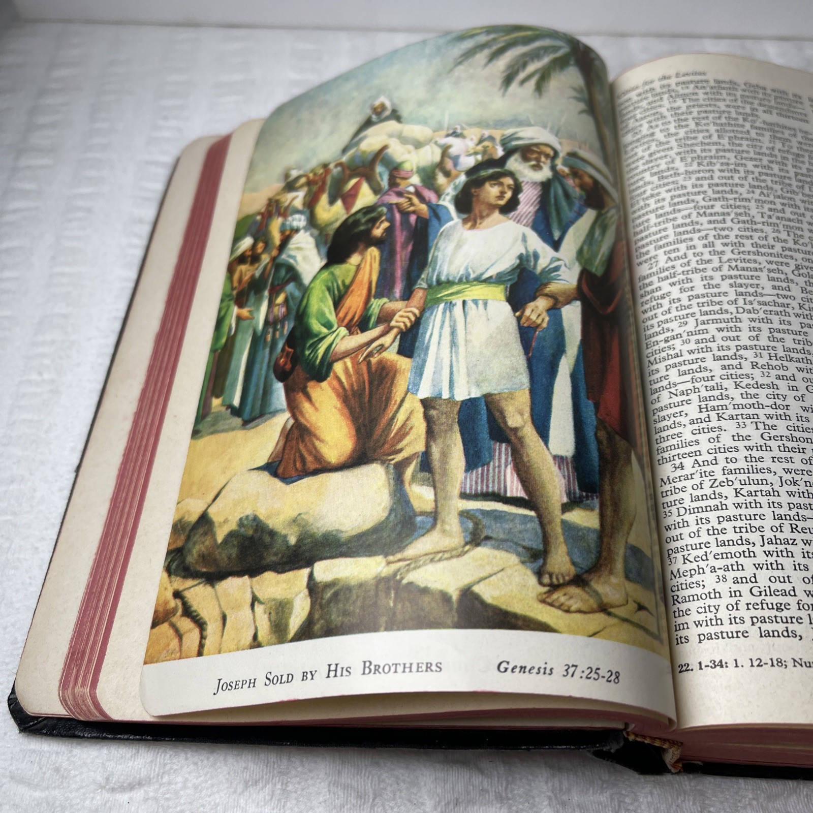 VTG 1953 Holy Bible RSV Nelson & Sons Genuine Leather Black Text + Illustrations