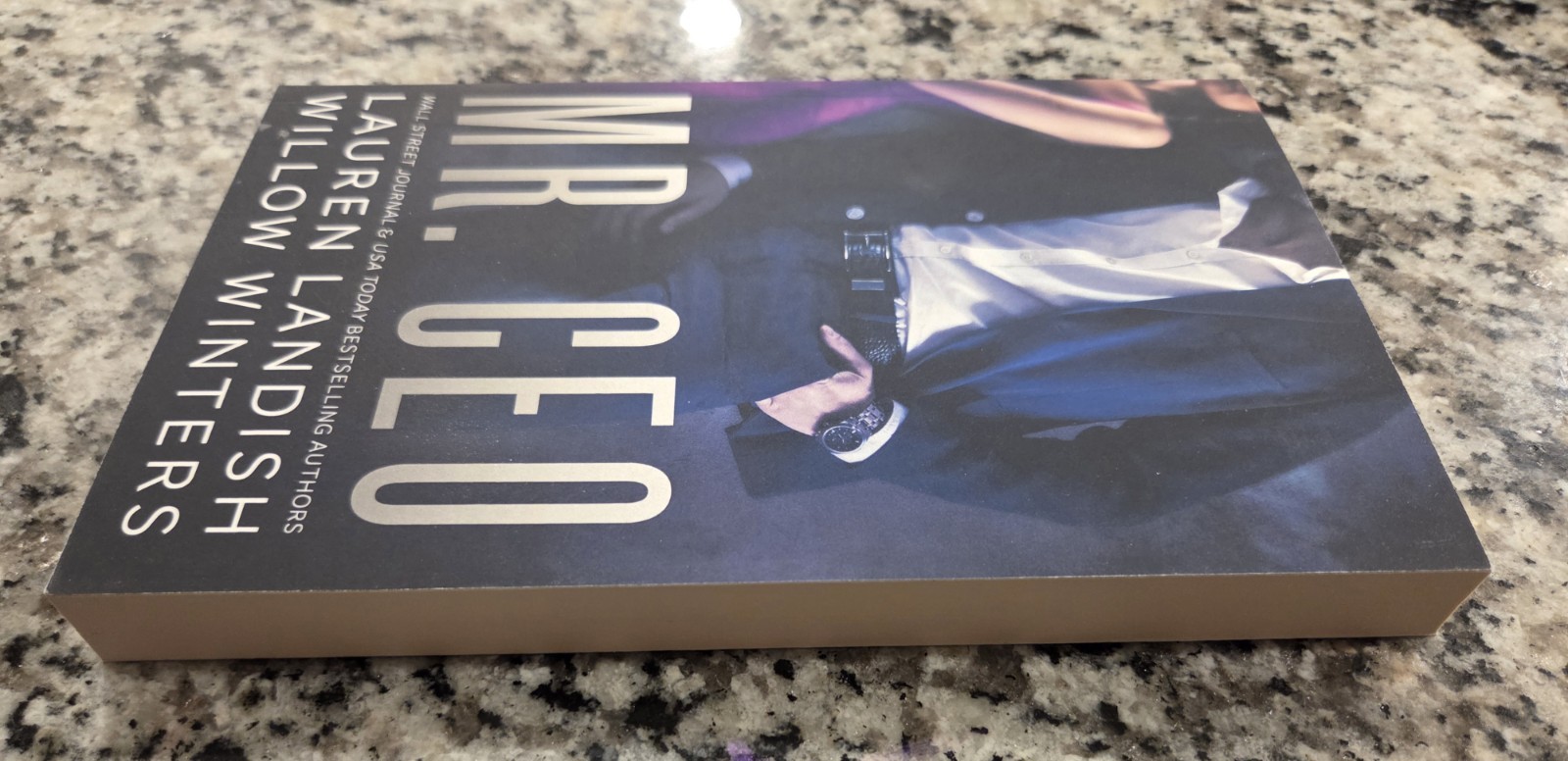 Mr. CEO Paperback Lauren Landish & Willow Winters Book