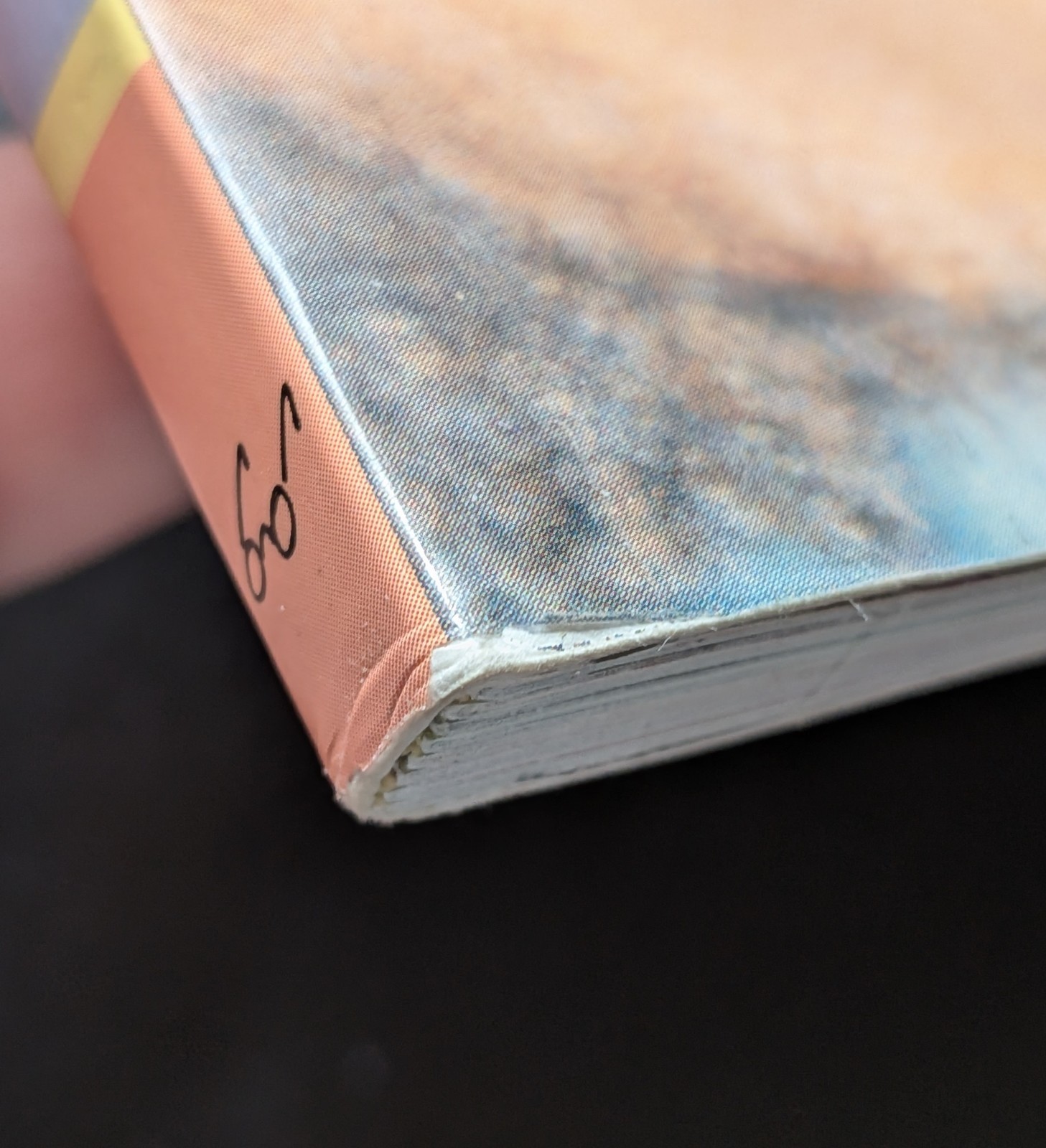 This Is Blythe Gina Garan Photography Book – Please See Description and Pictures
