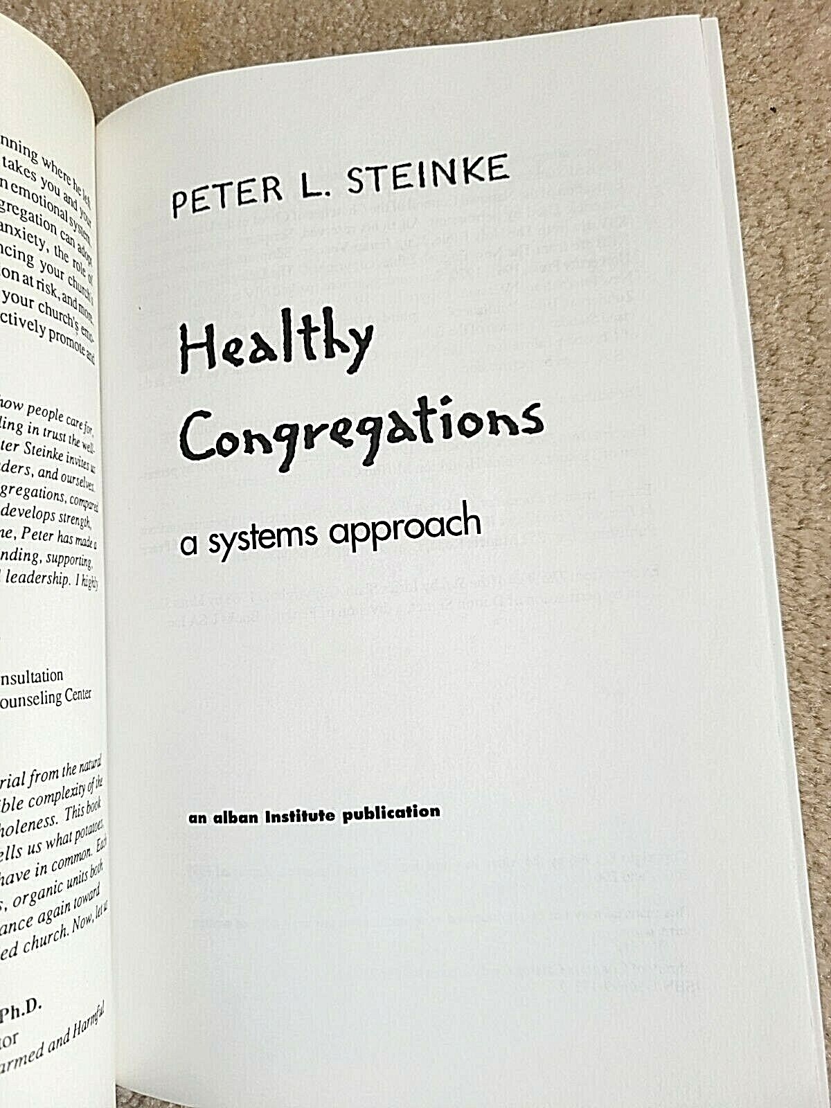 Healthy Congregations: A Systems Approach by Peter L. Steinke (Paperback, 1996)