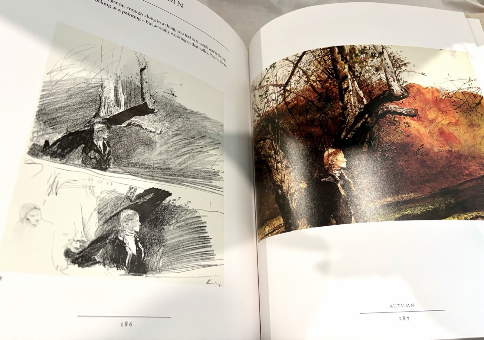 Vintage 1987 Andrew Wyeth “The Helga Pictures” Art Exhibition Coffee Table Book