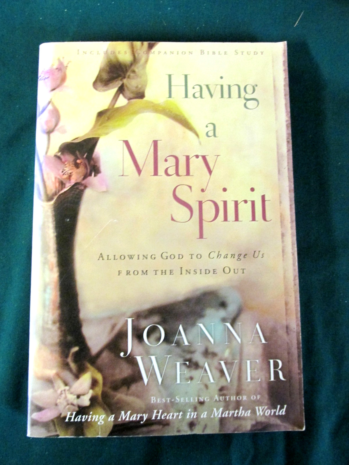 Having a Mary Spirit by Joanna Weaver – 2010- Paperback