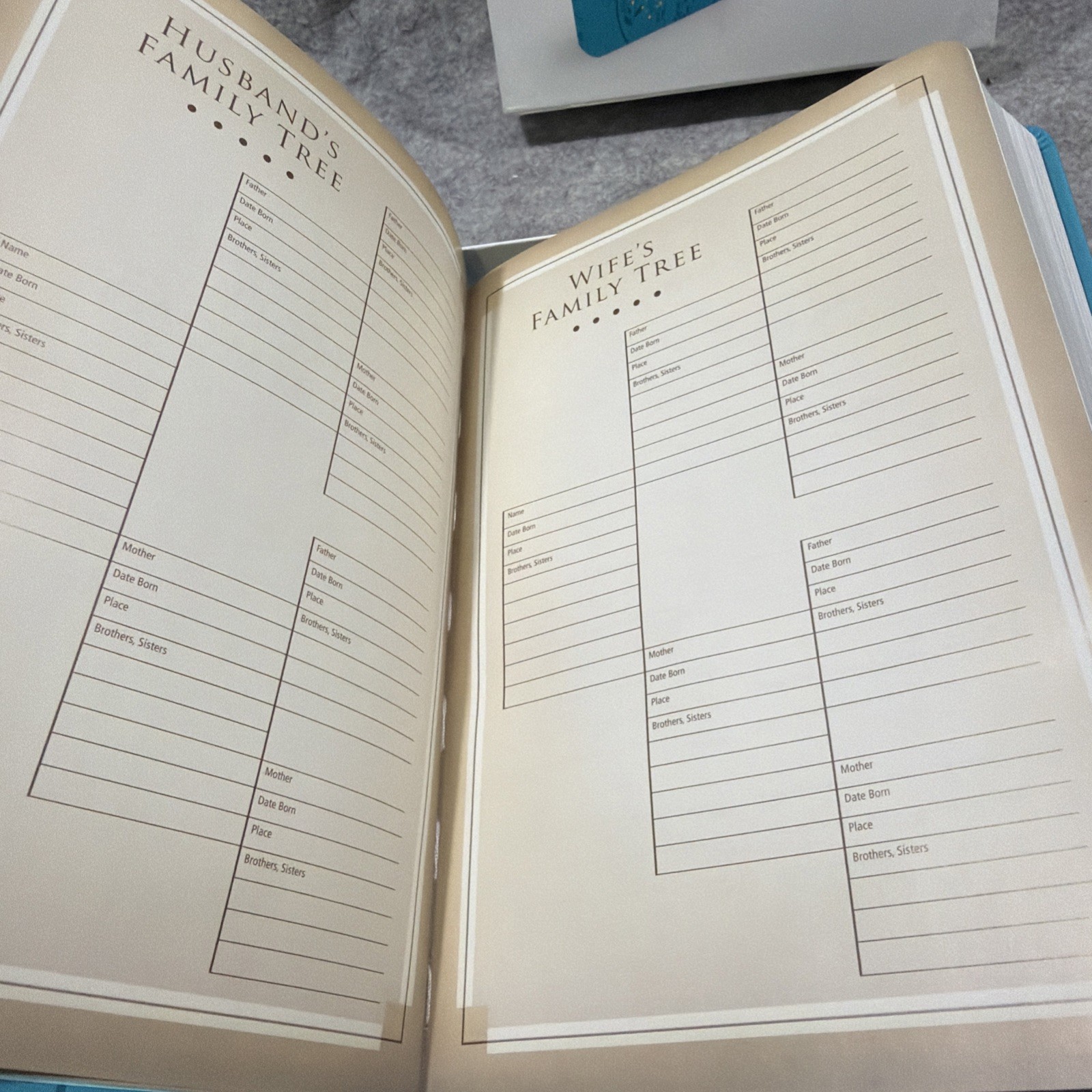 Thomas Nelson Giant Print Holy Bible (NKJV) – Aqua