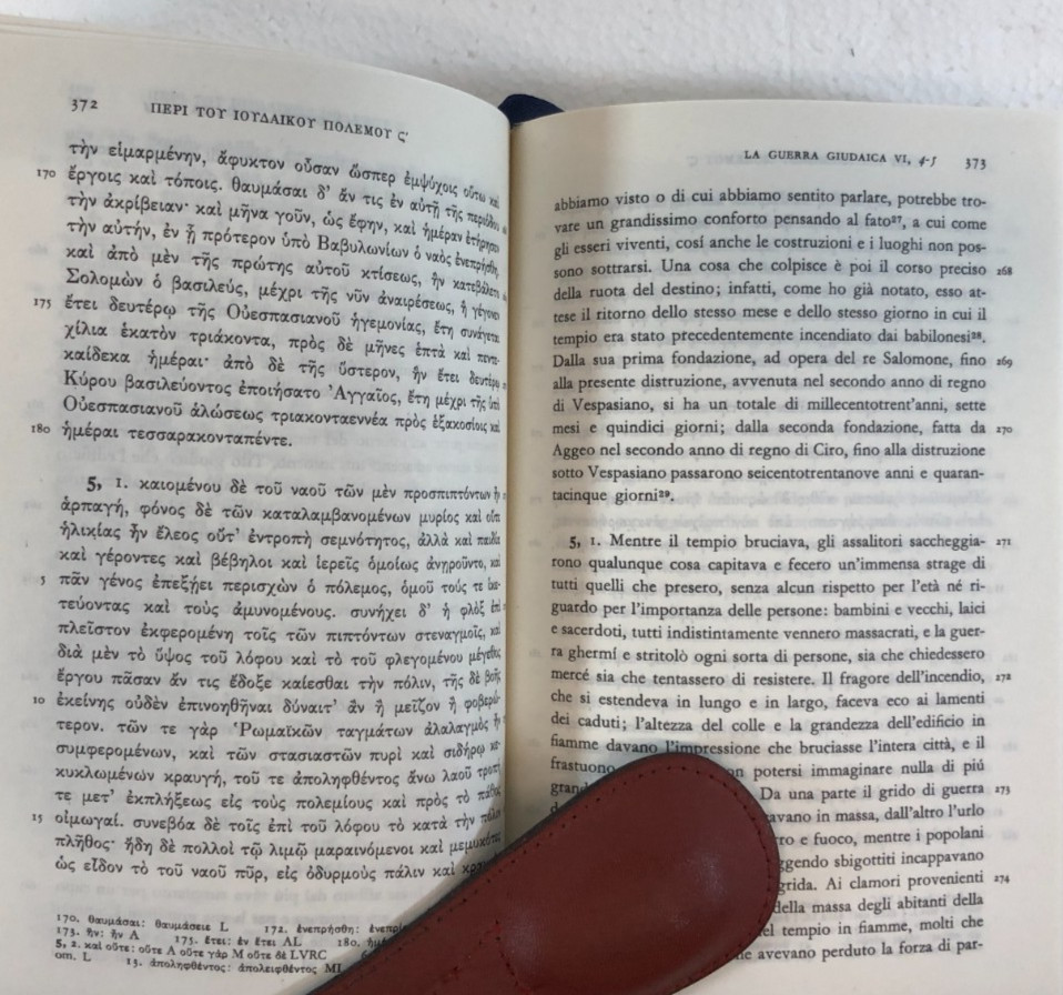 La Gurra Guidaica, Two Volumes, Vitucci, 2005, E-119