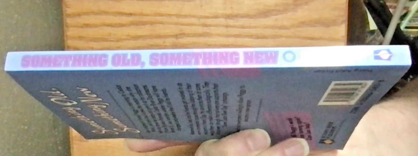 SOMETHING OLD, SOMETHING NEW (CEDAR RIVER DAYDREAMS #11) By Judy Baer Like New!