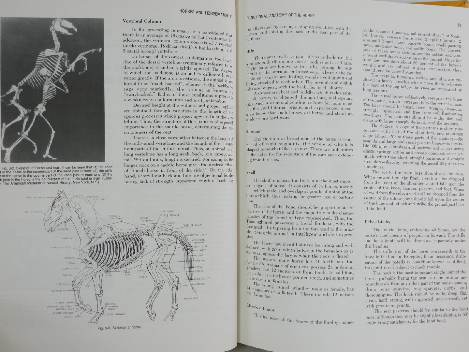 Horsemanship and Riding Horses Equestrian Riding 1977 Illus HC by M E Ensminger