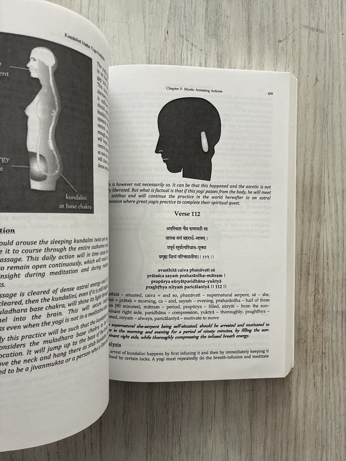 Kundalini Hatha Yoga Pradipika by Michael Beloved Body Posture Sanskrit Text SC