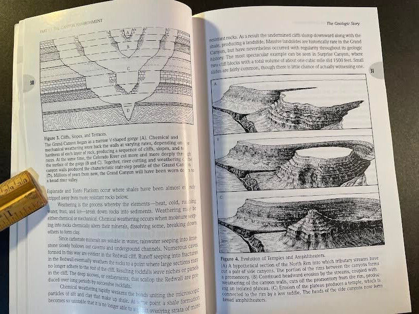 A Field Guide to the Grand Canyon by Whitney. 2nd edition. 269 pages. good cond.