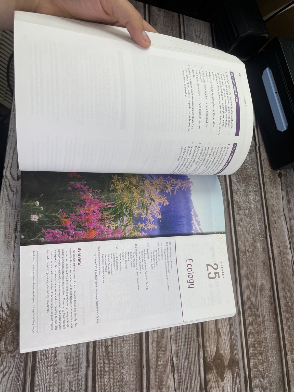 ISE Stern’s Introductory Plant Biology ISE HED BOTANY, ZOOLOGY, ECOLOGY 15e