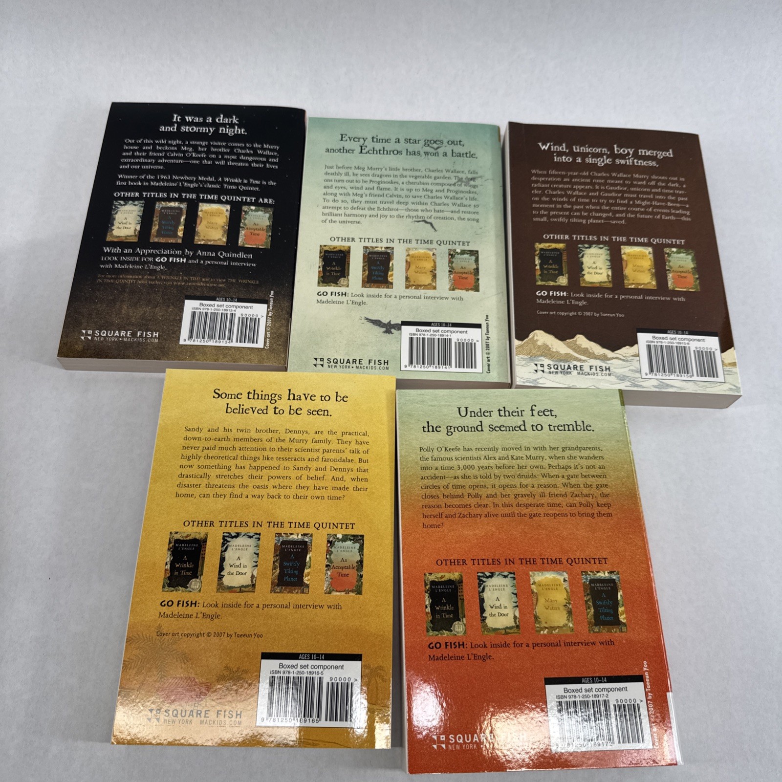 INCOMPLETE The Wrinkle in Time Set books No Journal