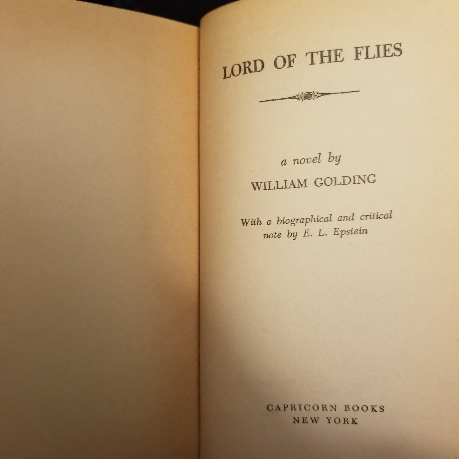 VINTAGE: Lord Of The Flies By William Golding. Paperback 1959. 46th Impression.