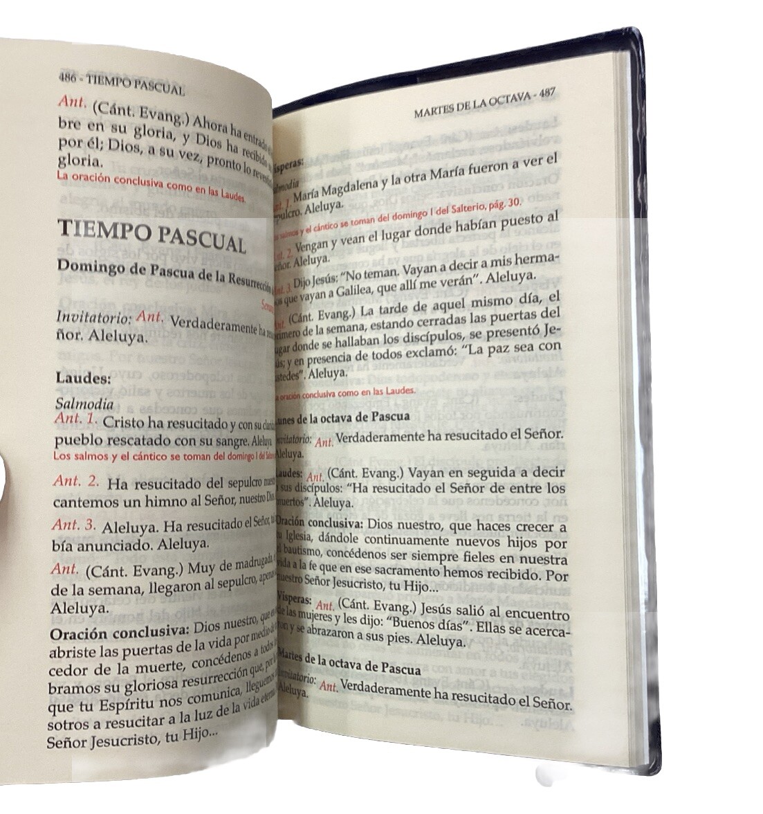 Liturgia De Las Horas Del Pueblo Letra Regular San Pablo. Liturgy Of The Hours
