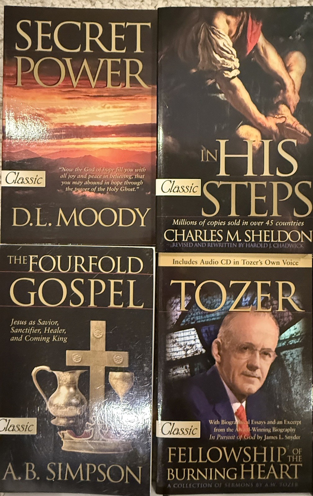 24 Christian Classic Book Lot: 18 CLEAN/UNMARKED/6 Bonus Tozer, Murray 6 w/ CDs