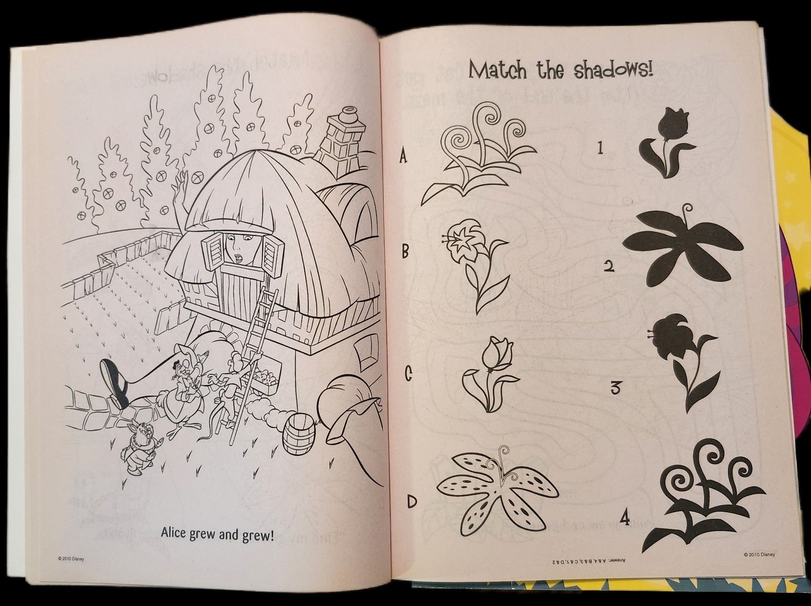 DISNEY ALICE IN WONDERLAND COLORING BOOKS (64 PAGES EACH) FREE SHIPPING USA