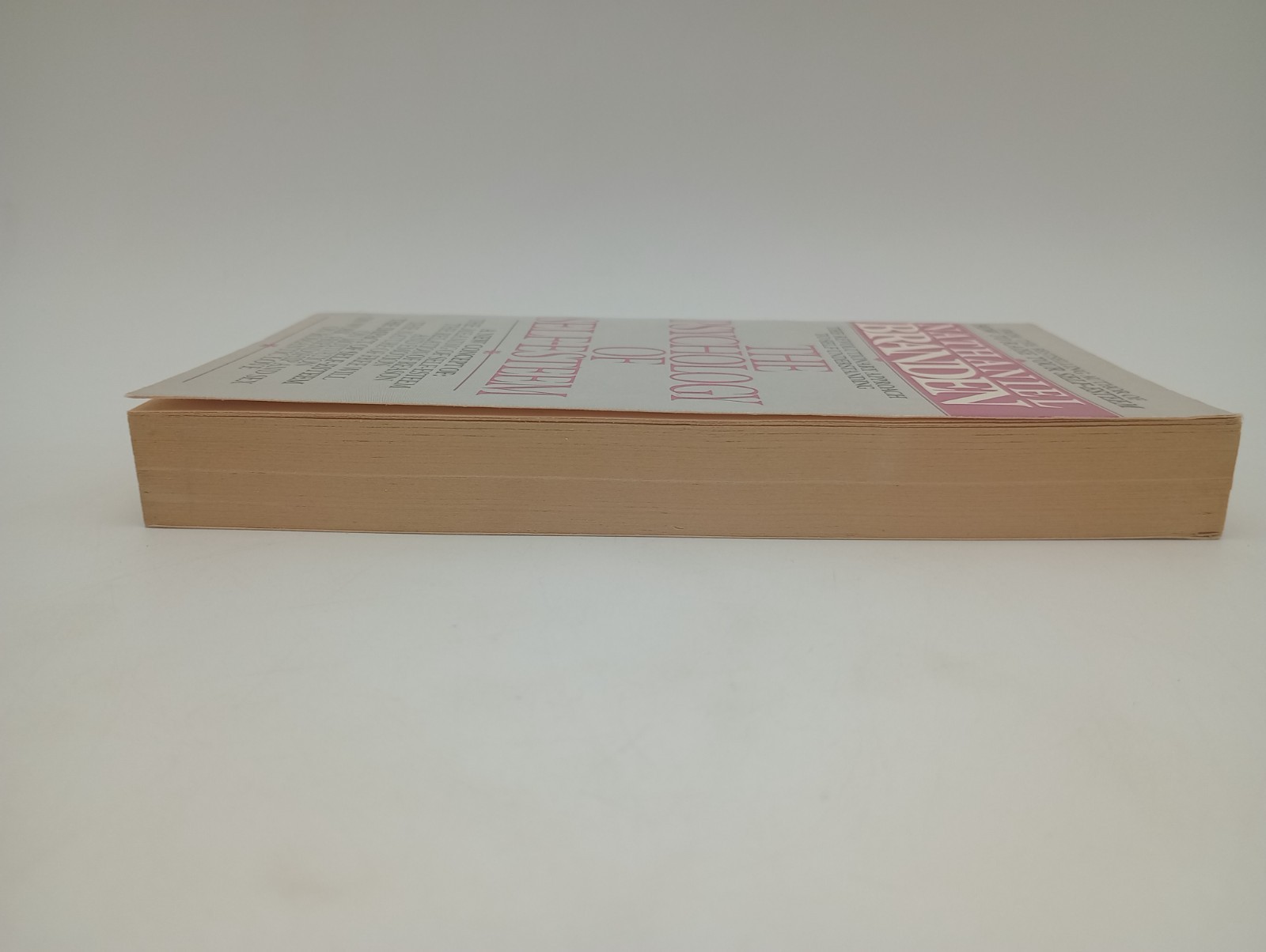The Psychology of Self Esteem, Vtg Paperback, 1987, Bantam, by Nathaniel Branden
