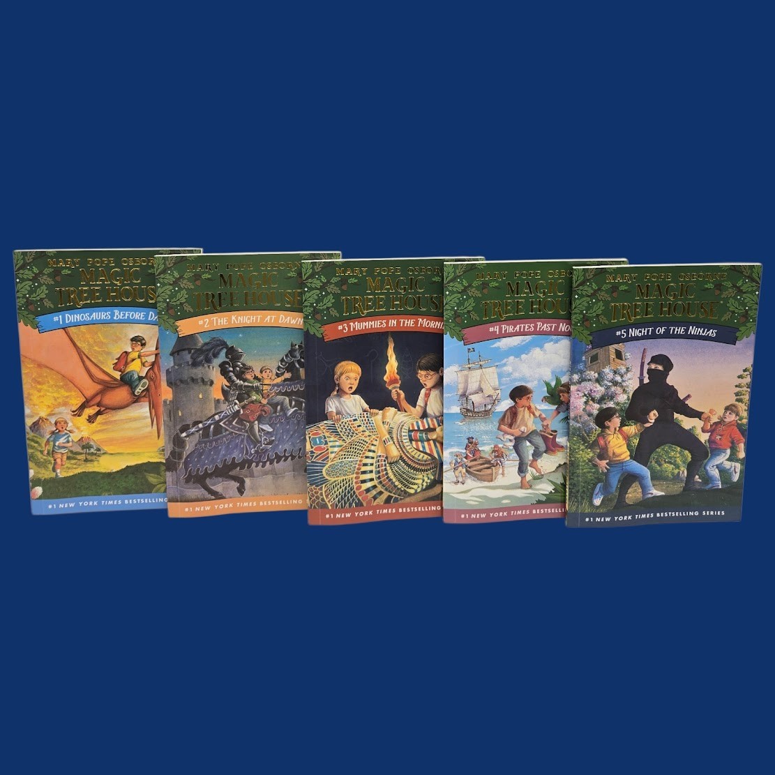 Set 6A: Magic Tree House A Library of Books 1-28 – Mary Pope Osborne Collection