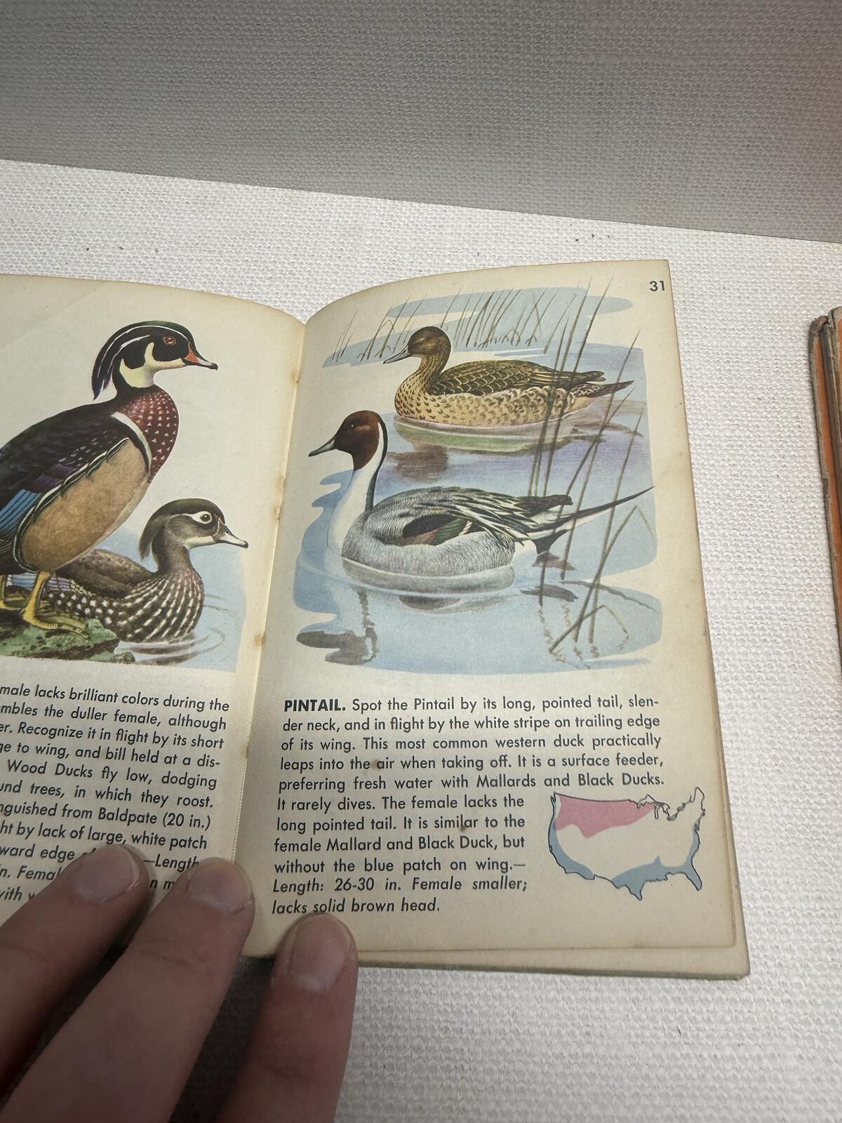 Vintage 1930s Lot Of Bird Identification Bird Watching Books