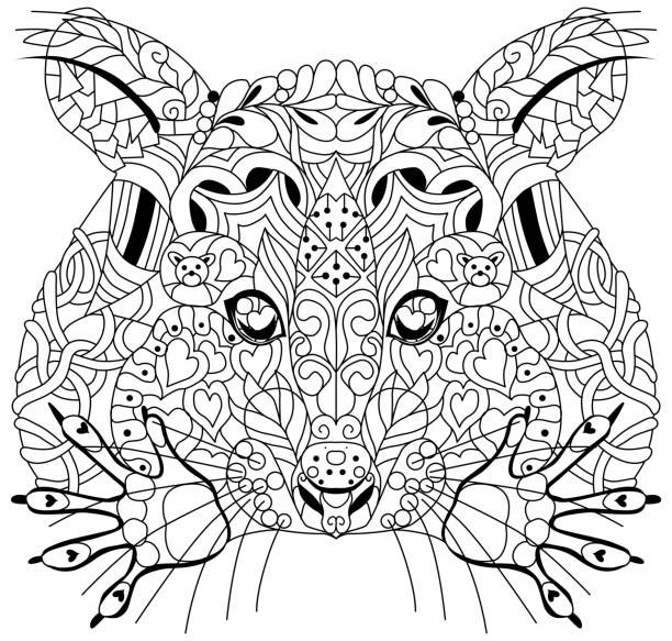 Raccoon and Friends Coloring Book 108 Pages 8.5 x 11 for All Ages