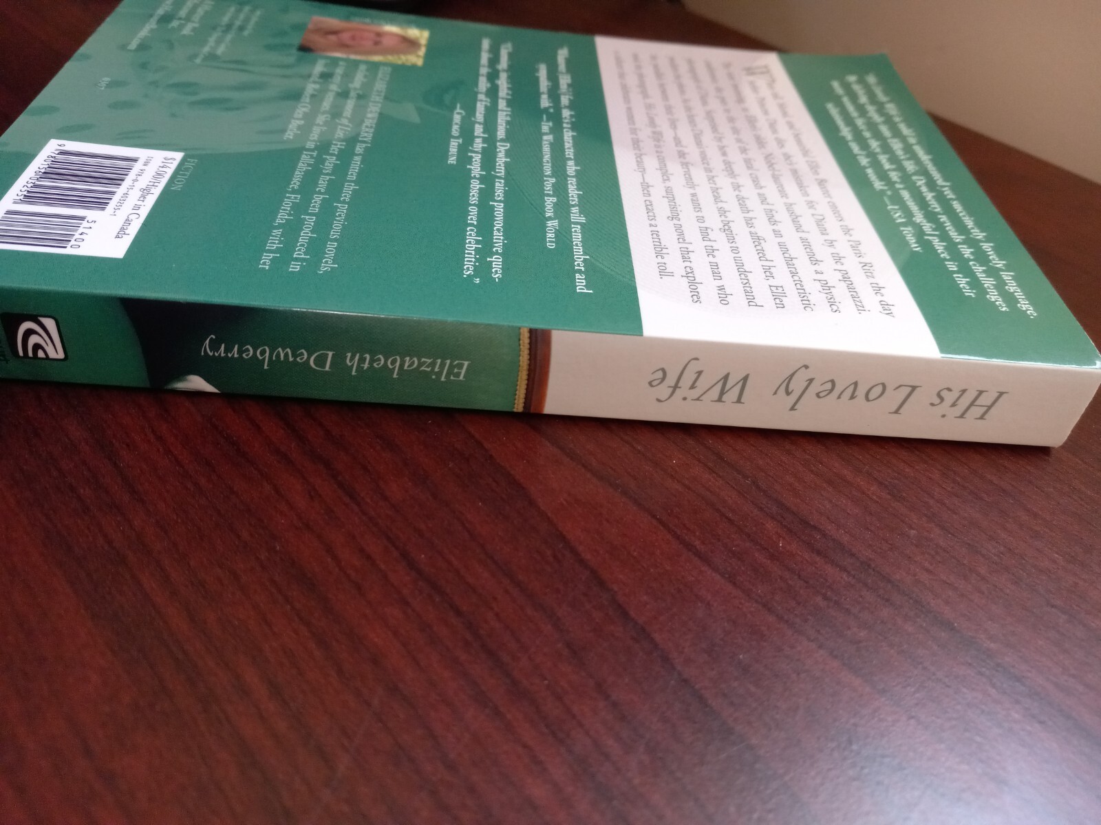 His Lovely Wife a novel Paperback