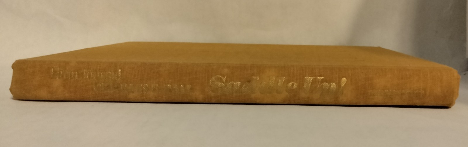 Saddle Up! by Charles E Ball 1970 HB Illus.