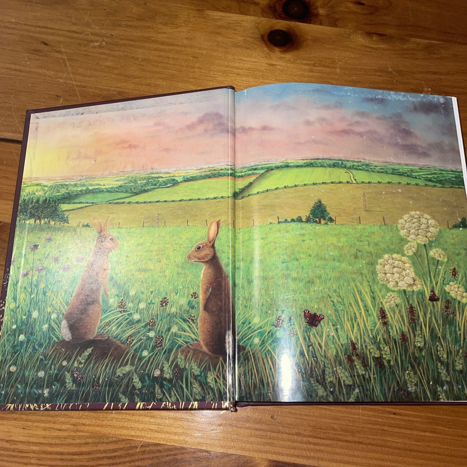 WATERSHIP DOWN Richard Adams & Aldo Galli 2012 Atheneum HB